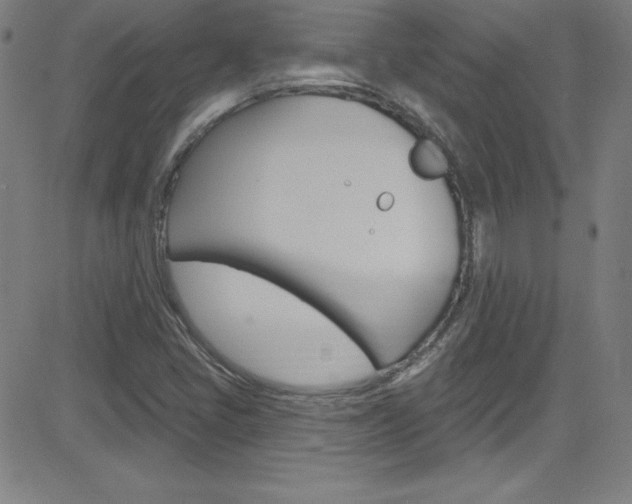 X0000083041405200702020931