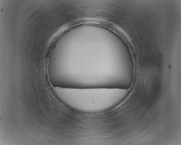 X0000083041411200702020931