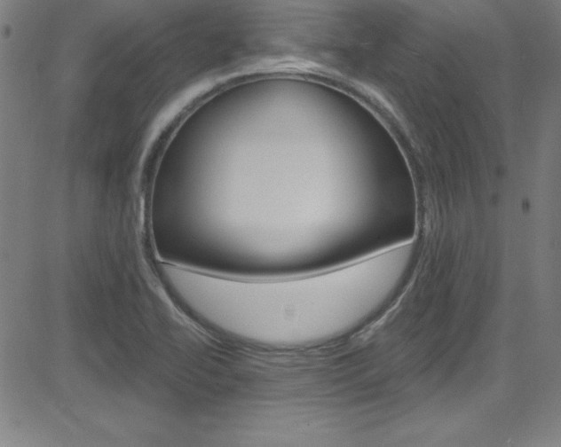 X0000083041414200702020931