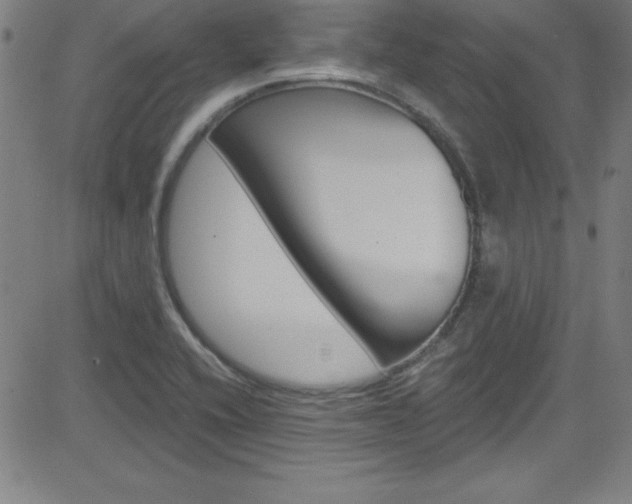 X0000083041416200702020931