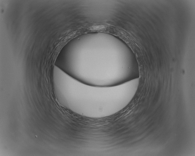 X0000083041441200702020931