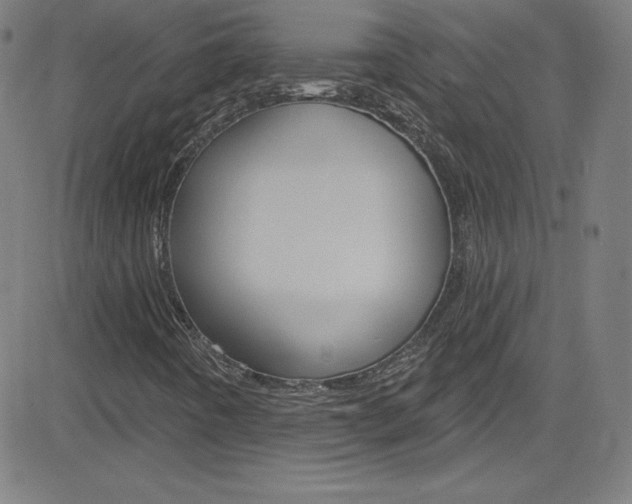 X0000083041442200702020931