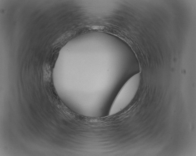 X0000083041443200702020931