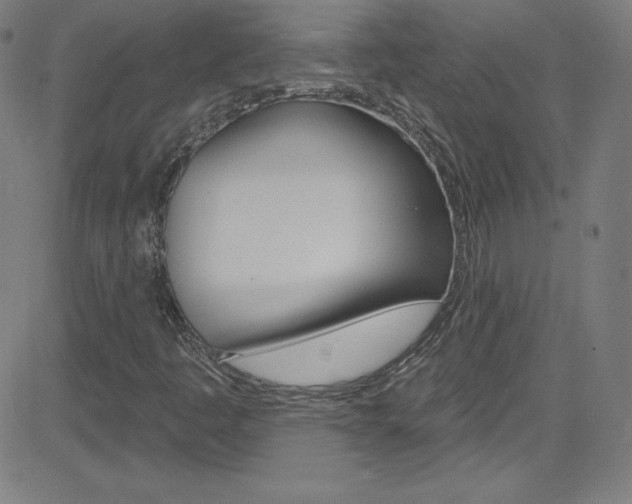 X0000083041445200702020931