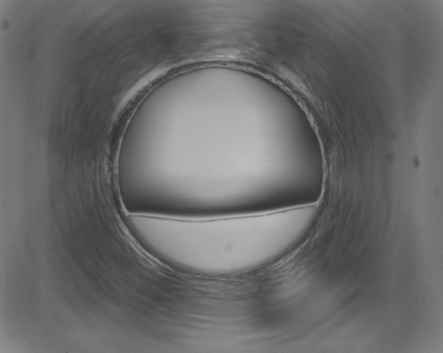 X0000083041452200702020931