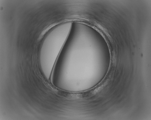 X0000083041453200702020931