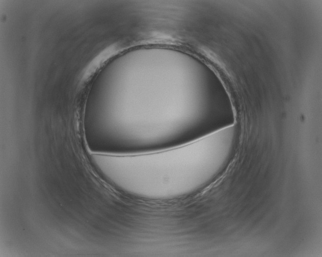 X0000083041455200702020931
