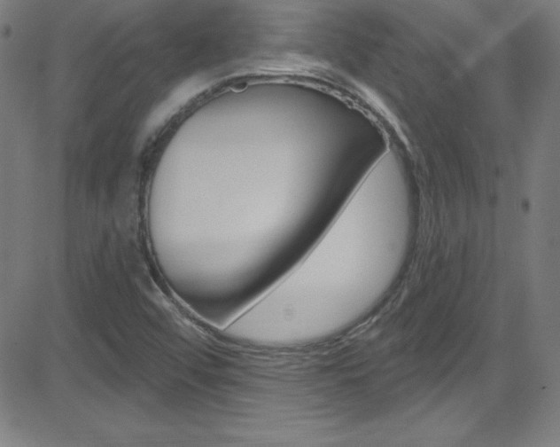 X0000083041456200702020931
