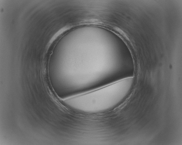 X0000083041458200702020931