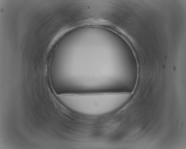 X0000083041459200702020930