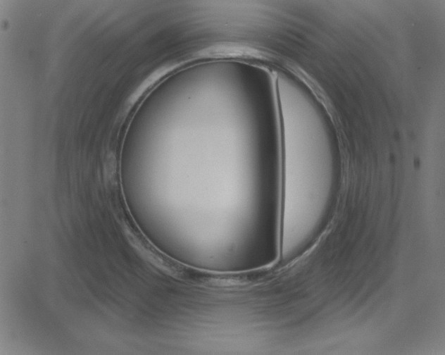X0000083041465200702020930