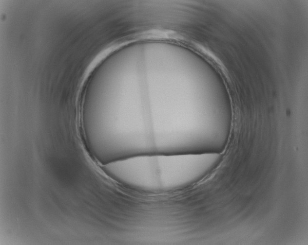 X0000083041467200702020930