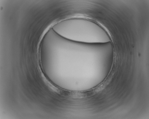 X0000083041475200702020930