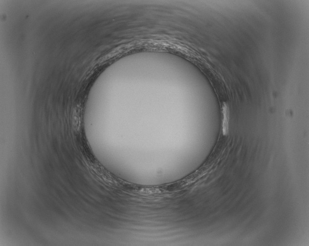 X0000083041491200702020929
