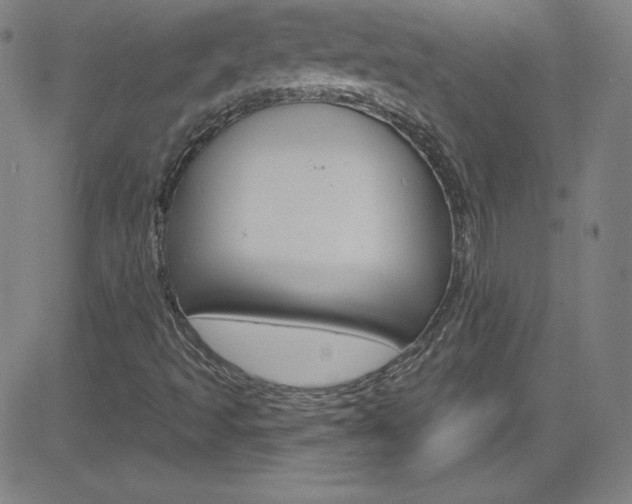 X0000083041493200702020929