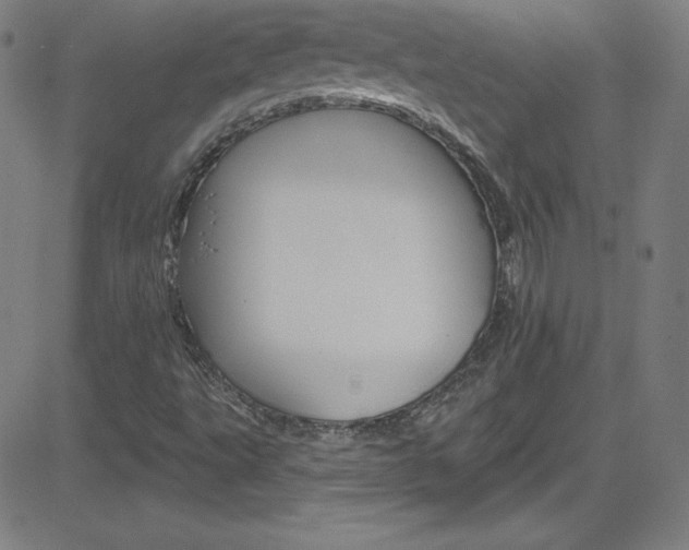 X0000083041495200702020929