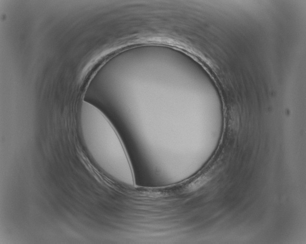 X0000083041499200702020929