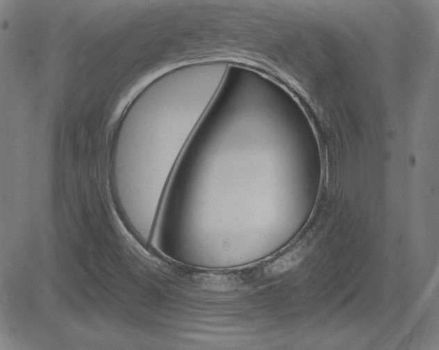 X0000083041500200702020929