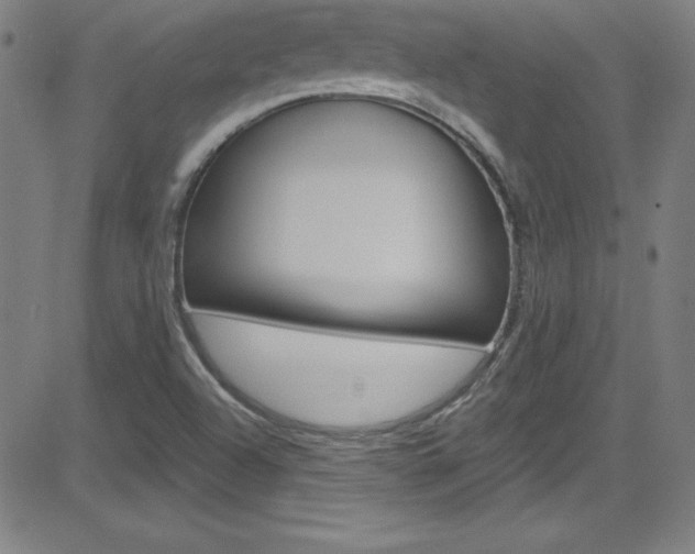 X0000083041504200702020929