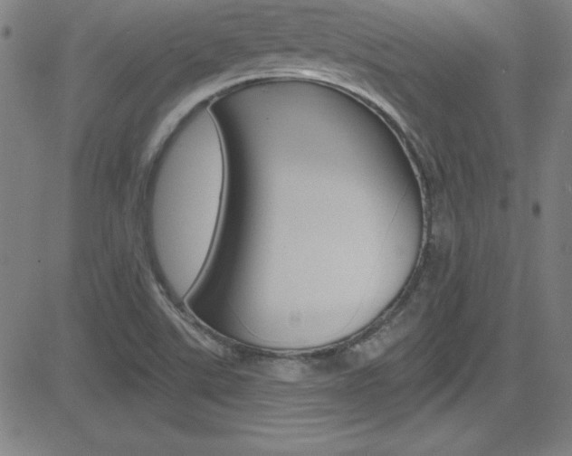 X0000083041507200702020930