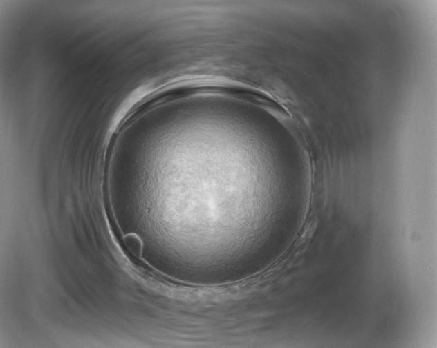 X0000083040003200702021204