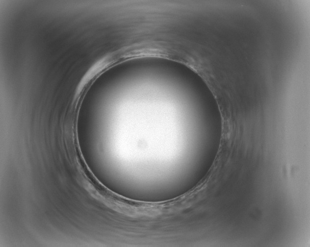 X0000083040004200702021204