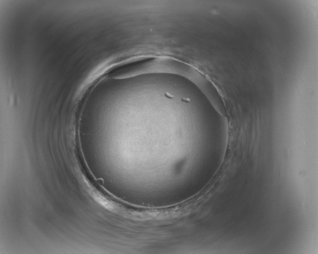 X0000083040005200702021204