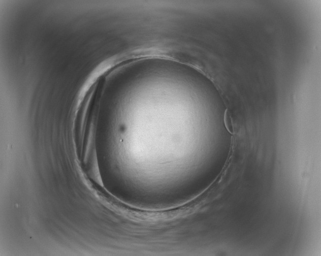 X0000083040006200702021204