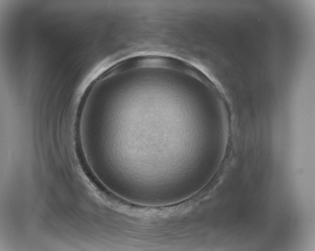 X0000083040007200702021204