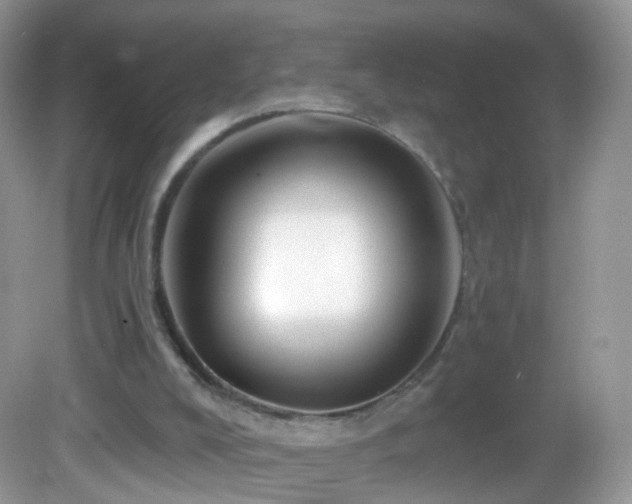 X0000083040008200702021204