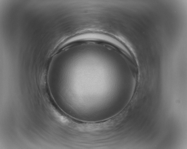 X0000083040009200702021204