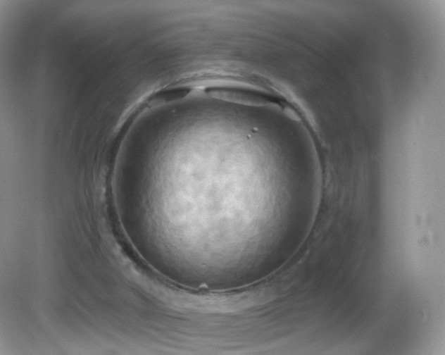 X0000083040010200702021204