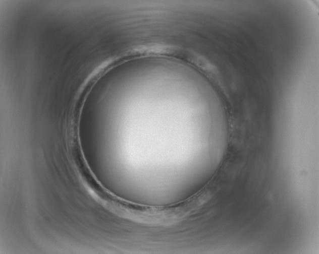 X0000083040012200702021204