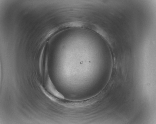 X0000083040013200702021204