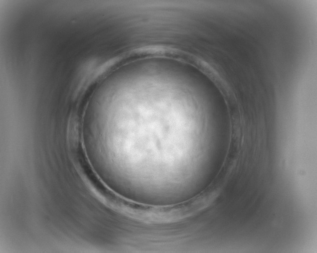 X0000083040016200702021203