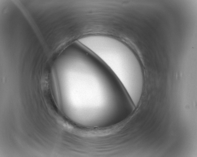 X0000083040017200702021203