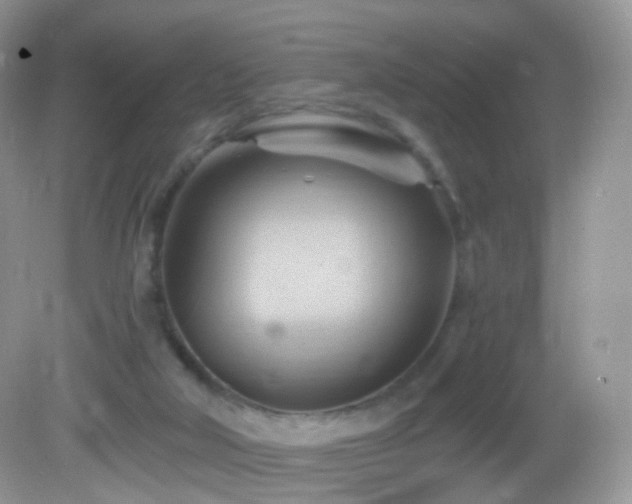 X0000083040018200702021203