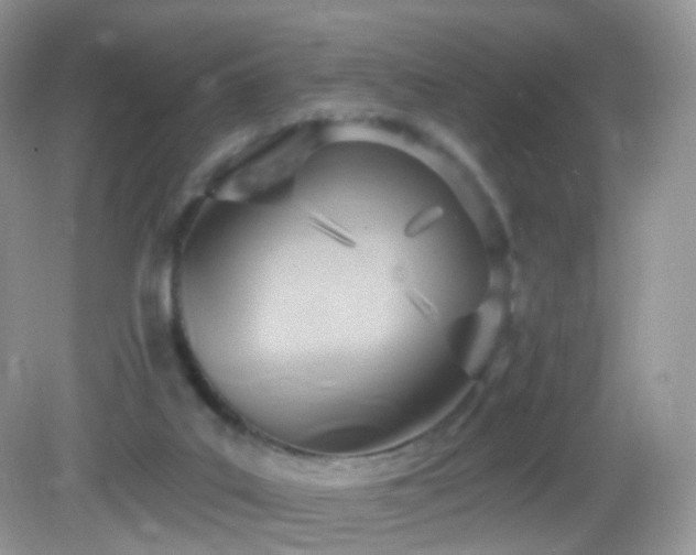 X0000083040019200702021203