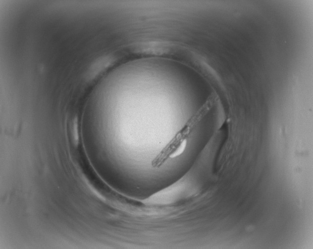 X0000083040020200702021203