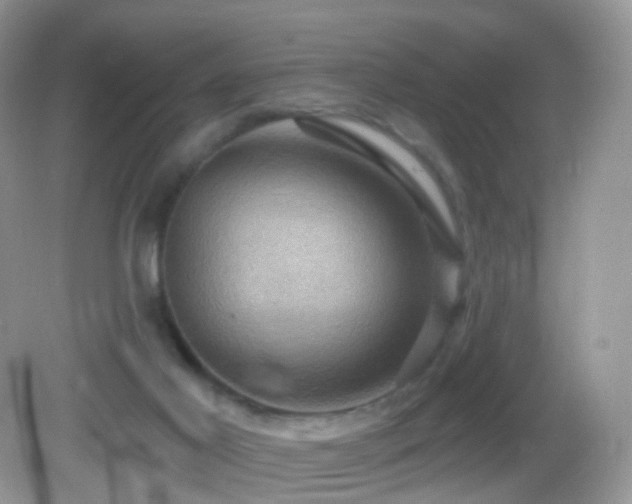 X0000083040021200702021203