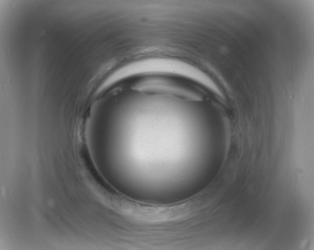 X0000083040023200702021203