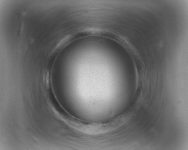 X0000083040024200702021203