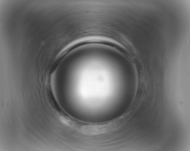 X0000083040025200702021203