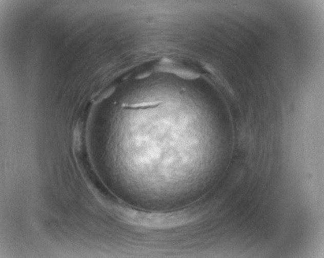 X0000083040026200702021203