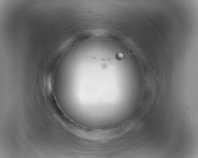 X0000083040028200702021203