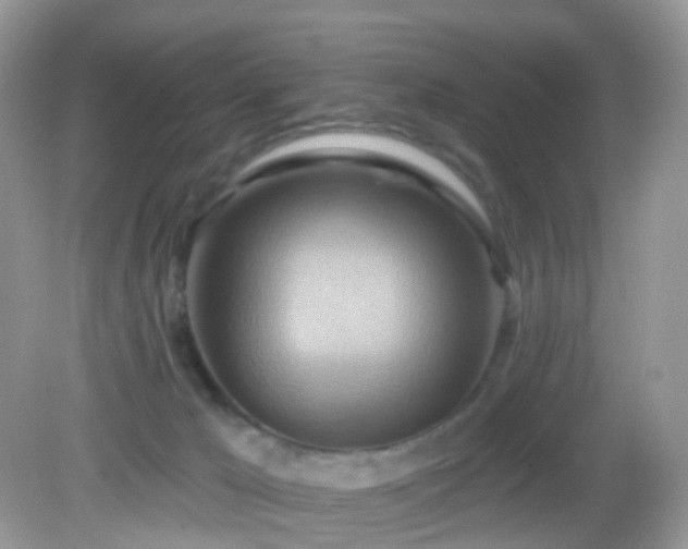 X0000083040029200702021203