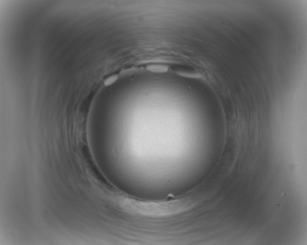 X0000083040030200702021203