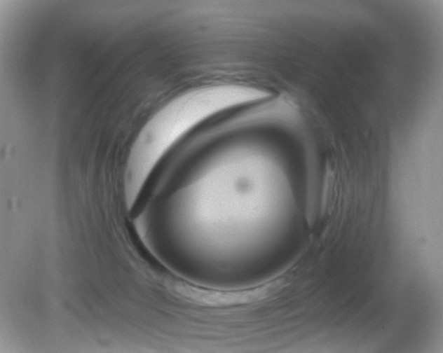 X0000083040031200702021203