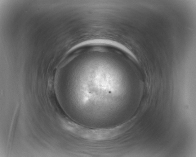 X0000083040033200702021203