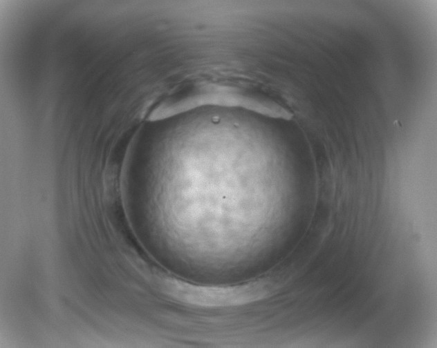 X0000083040034200702021203